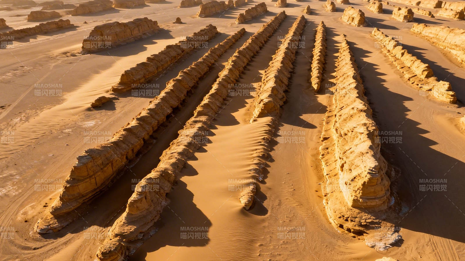 沙漠奇景 风蚀岩垄阵列图片