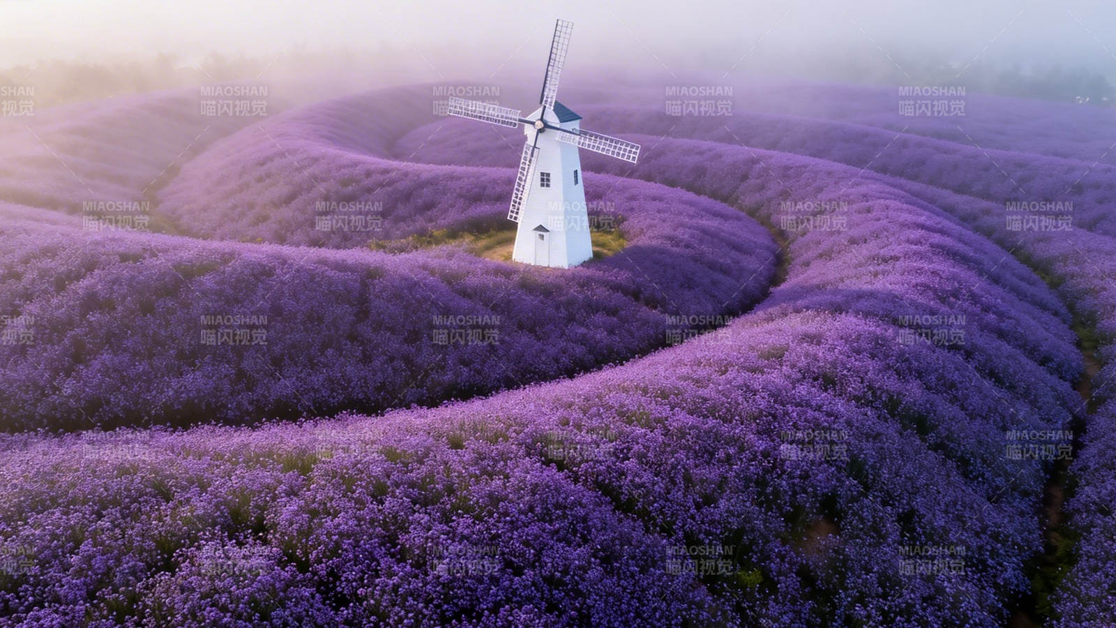 紫海风车梦图片