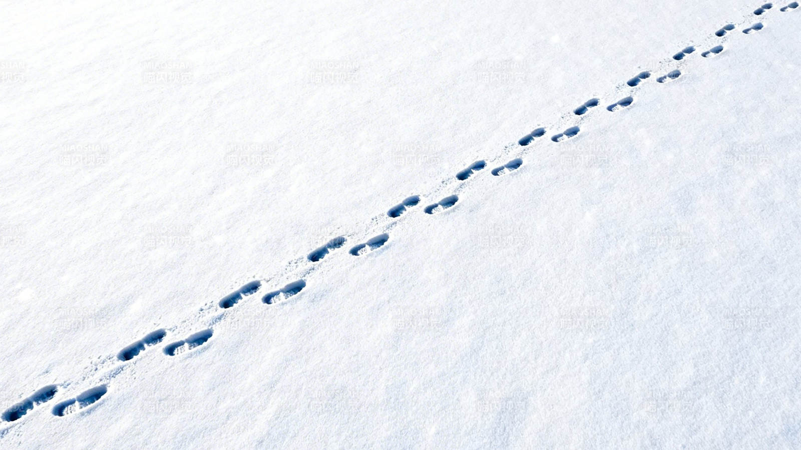 雪地上的足迹轨迹图片
