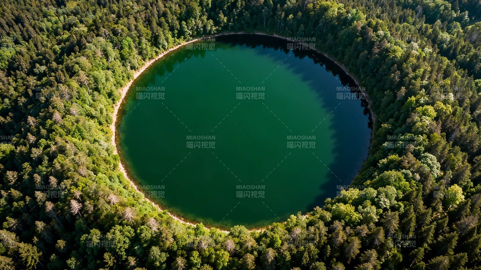 森林环抱的碧绿圆湖图片