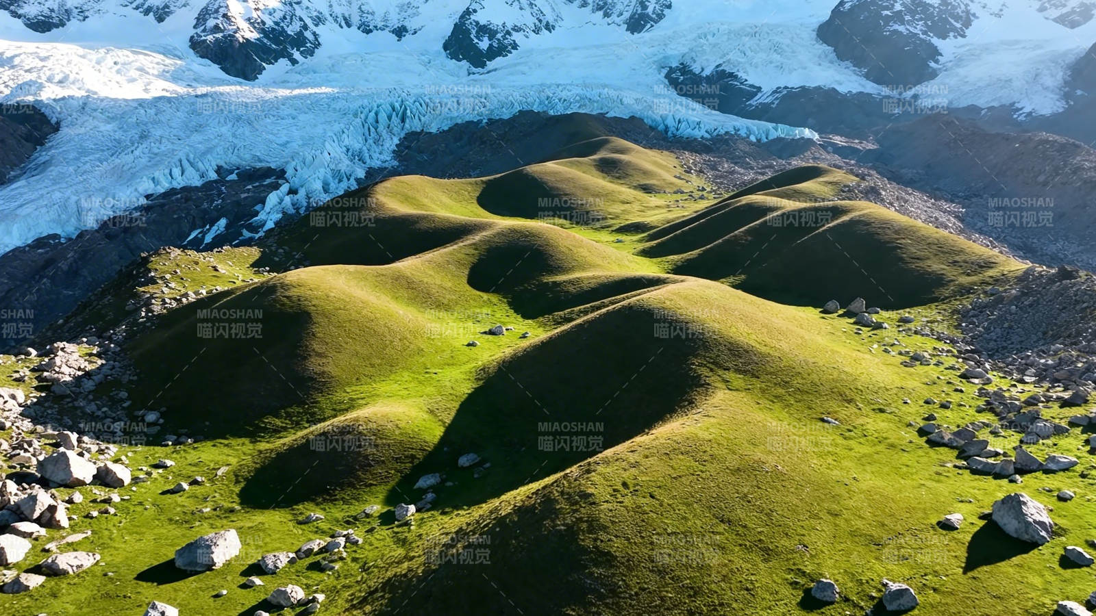 雪山下的翠绿丘陵图片
