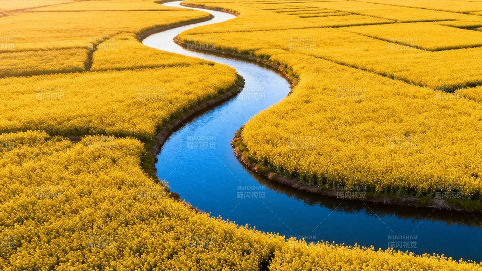 金田曲水 秋色如画图片