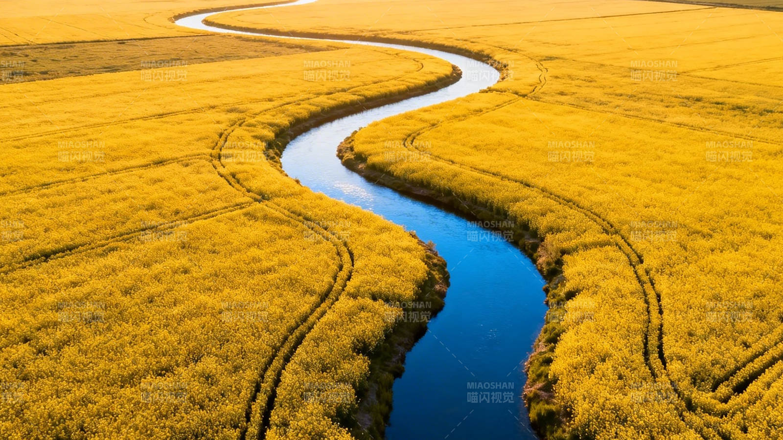 金田曲水 秋韵如画图片
