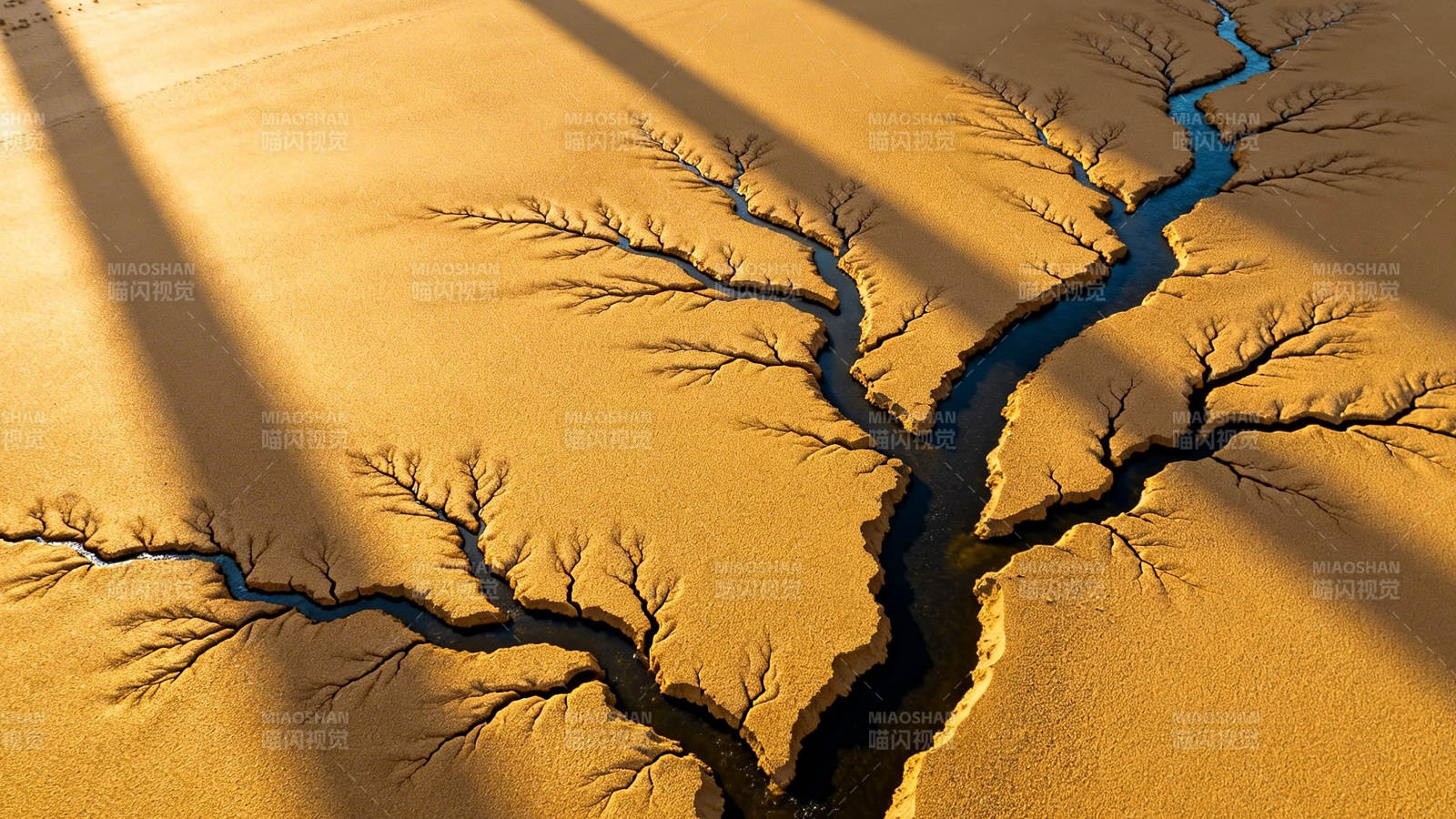 沙漠裂痕如树根蔓延图片