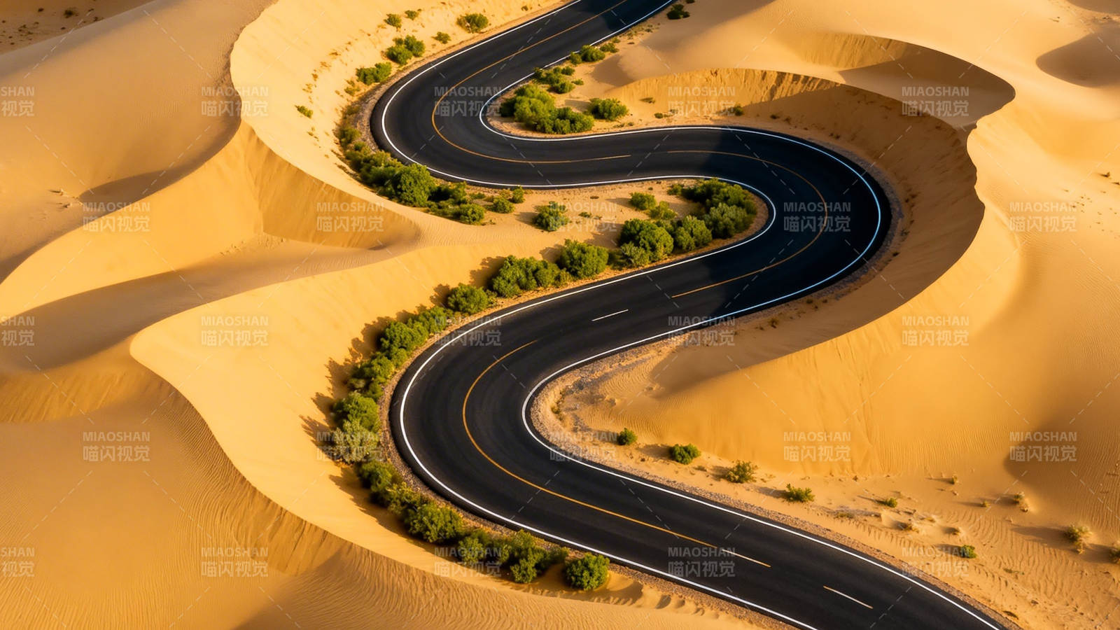 沙漠蜿蜒公路 绿植点缀其间图片