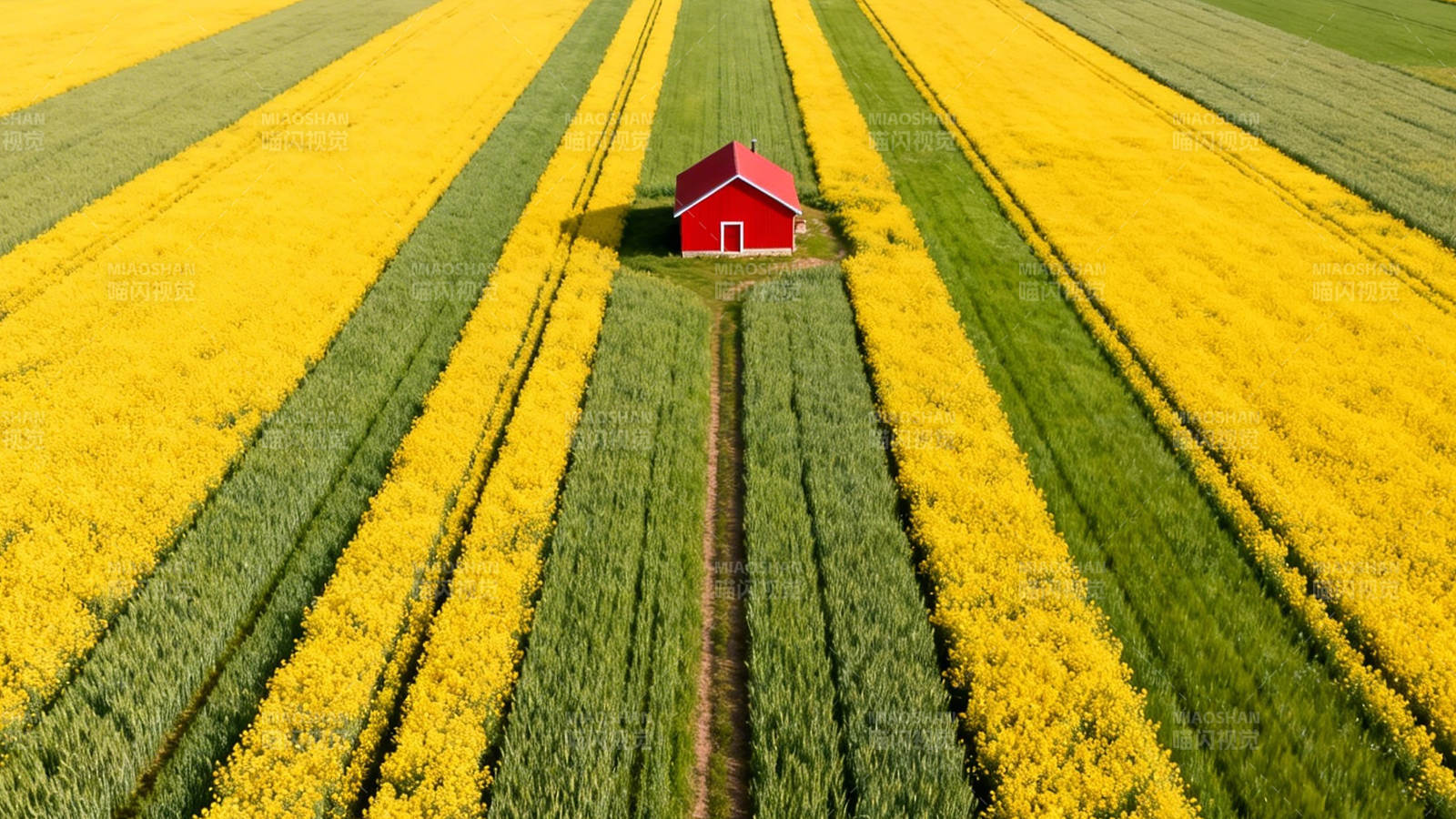 花田红屋 航拍美景图片