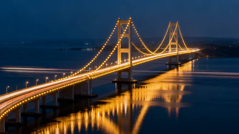 夜色大桥 灯火如龙卧海图片