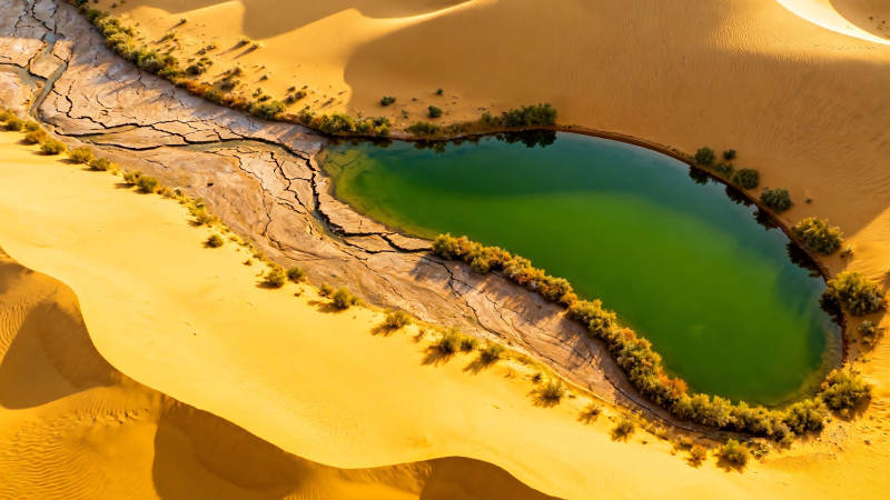 沙漠绿洲 碧水映黄沙图片