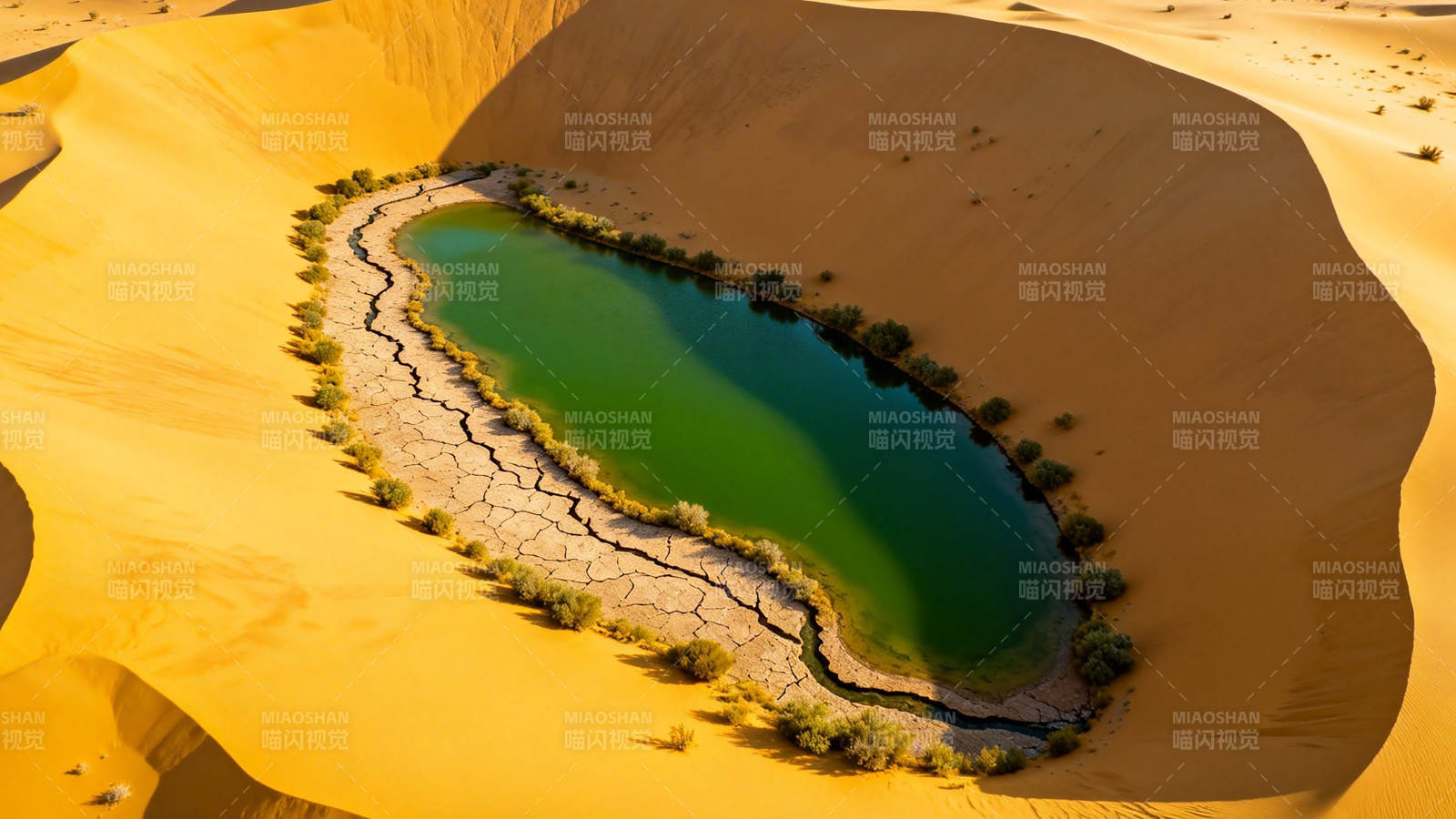 沙漠绿湖 生命奇迹图片