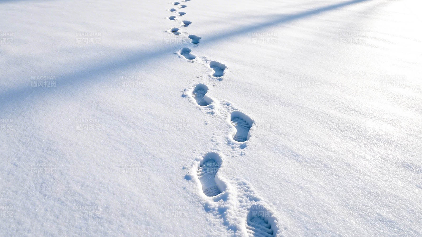 雪地上的脚印图片