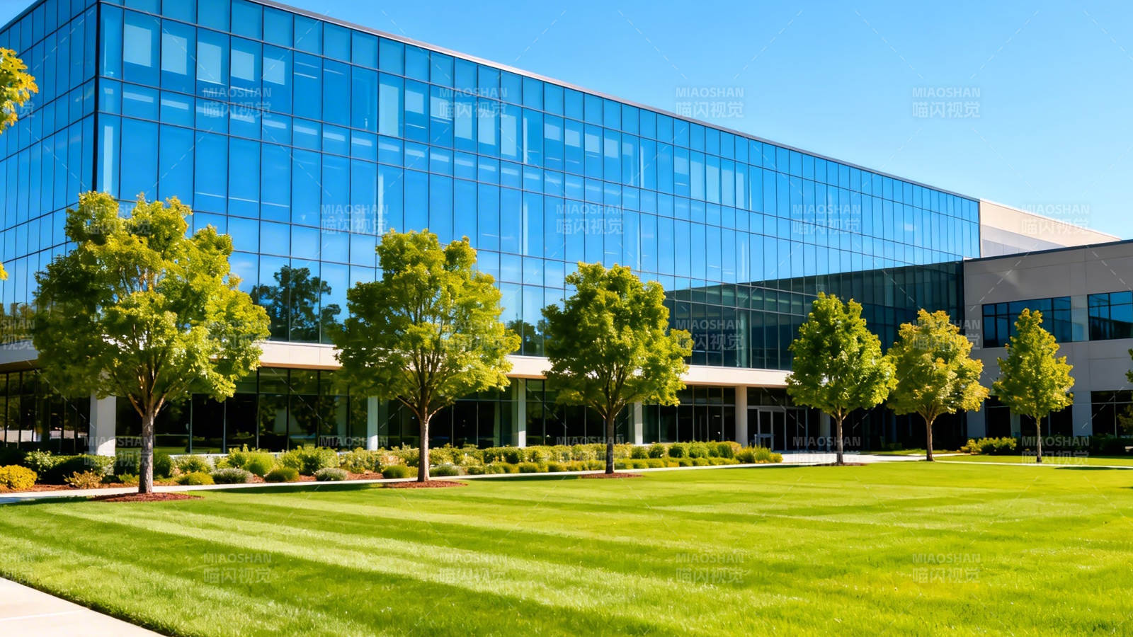 现代玻璃幕墙办公楼前绿茵草坪图片