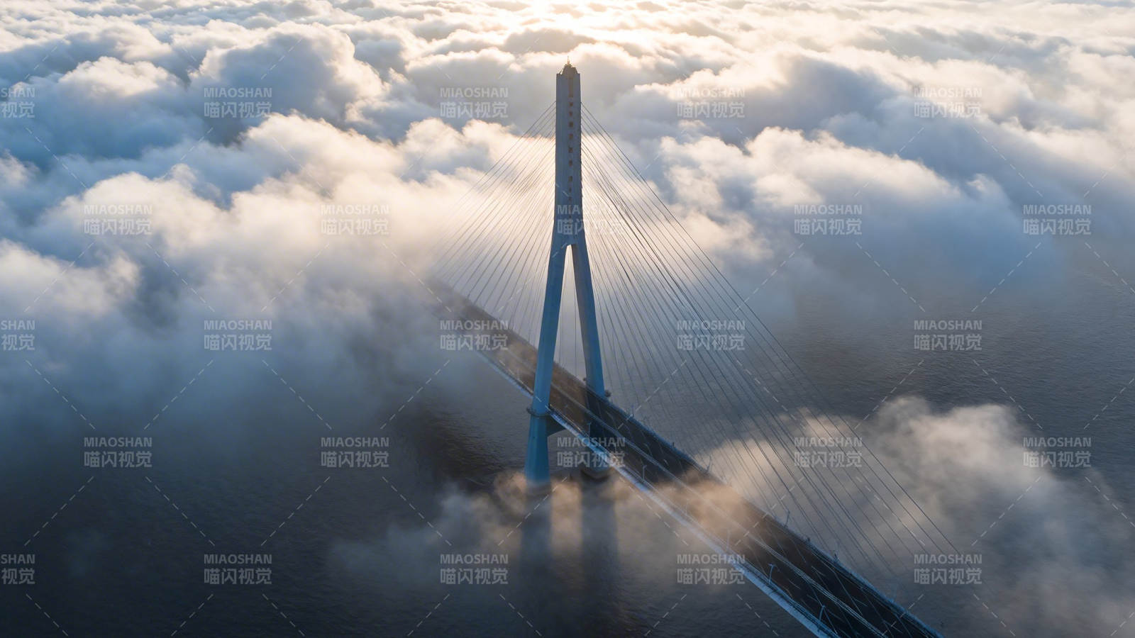 云海之上的斜拉桥图片