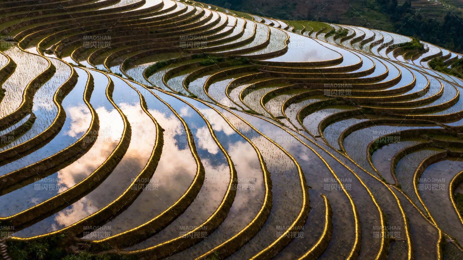 梯田如镜 云影流转图片