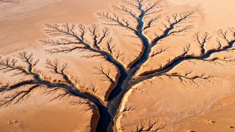 沙漠树状水系航拍图图片