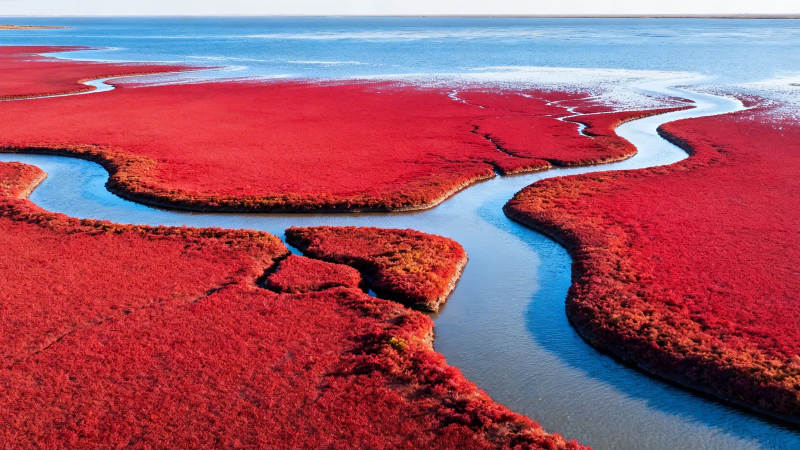 红滩碧水 自然奇观图片