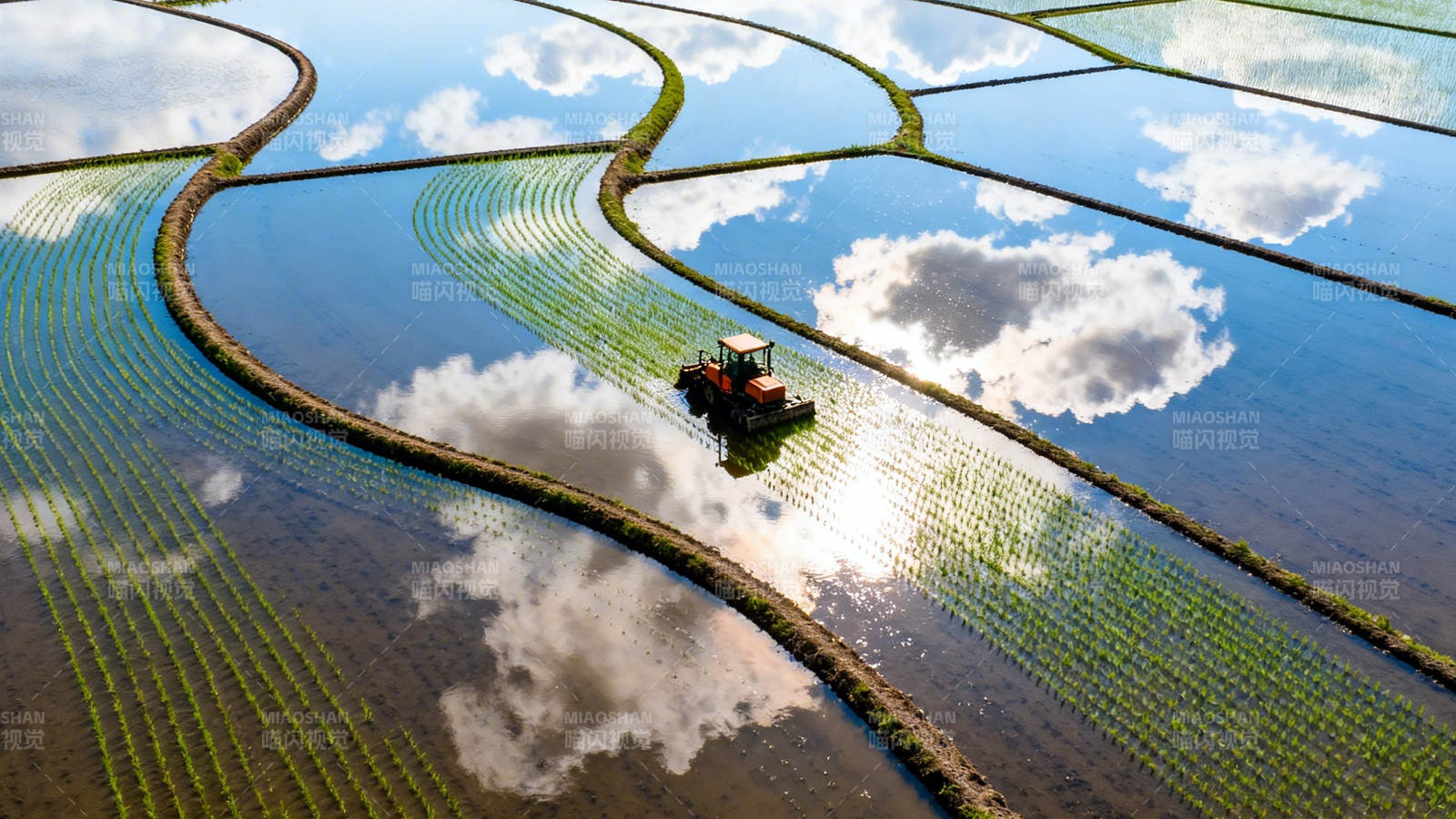 水田映云 农机耕作忙图片