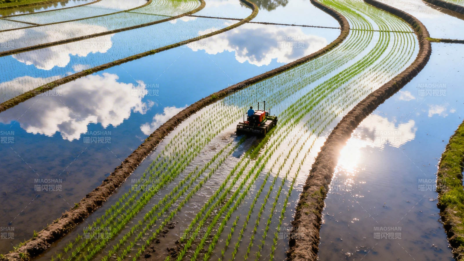 水田插秧 云影如画图片