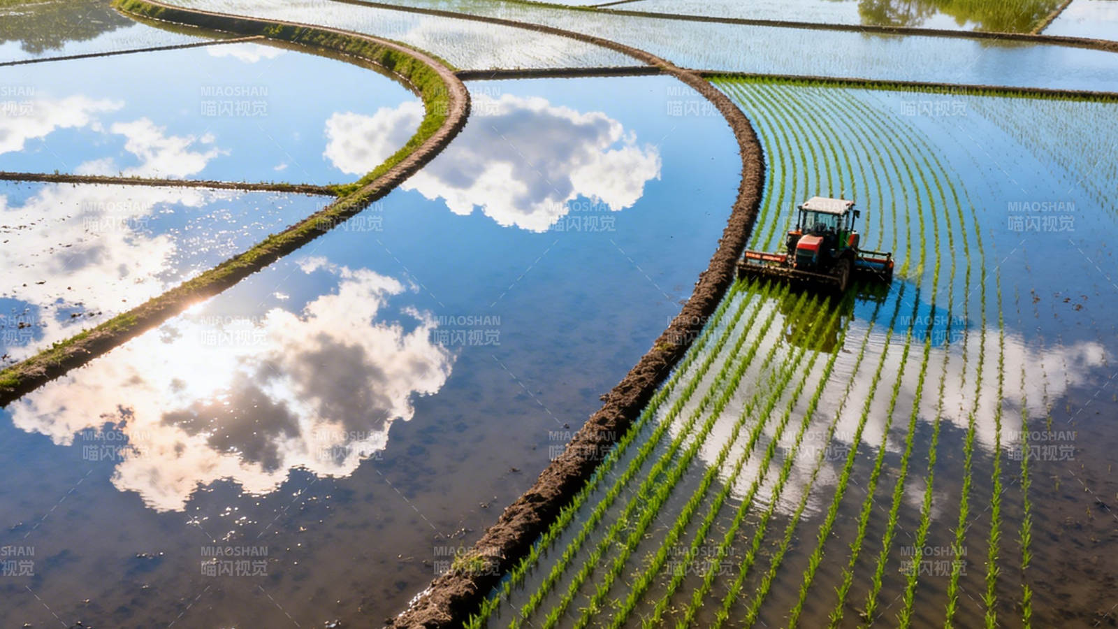 水田插秧机作业中图片