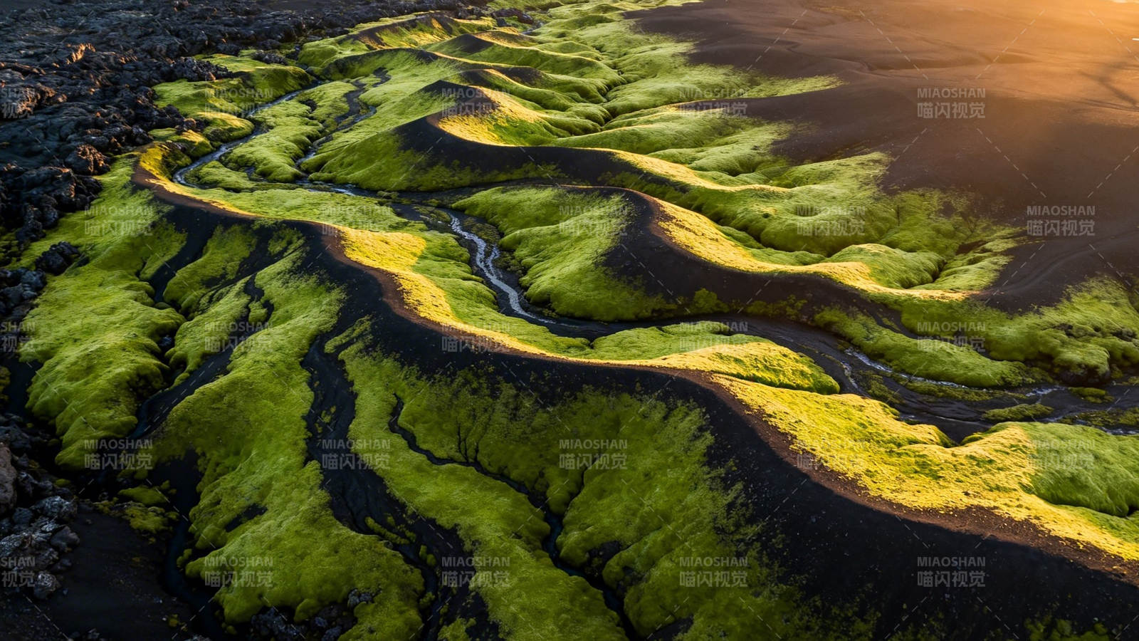 绿苔蜿蜒 大地脉络如画图片