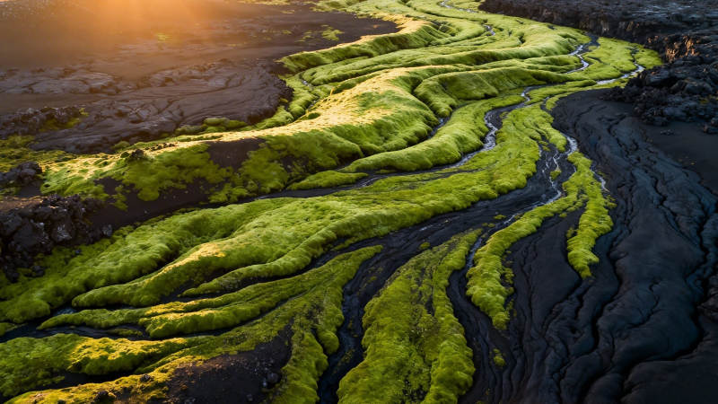 苔原河流 夕阳如金图片