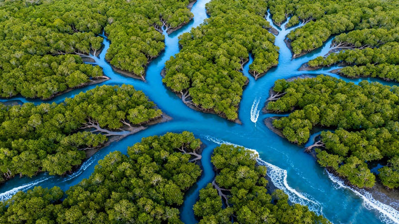 绿岛蓝河 航拍秘境图片