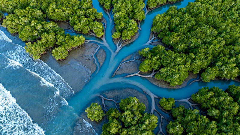 碧海绿林 自然交响曲图片