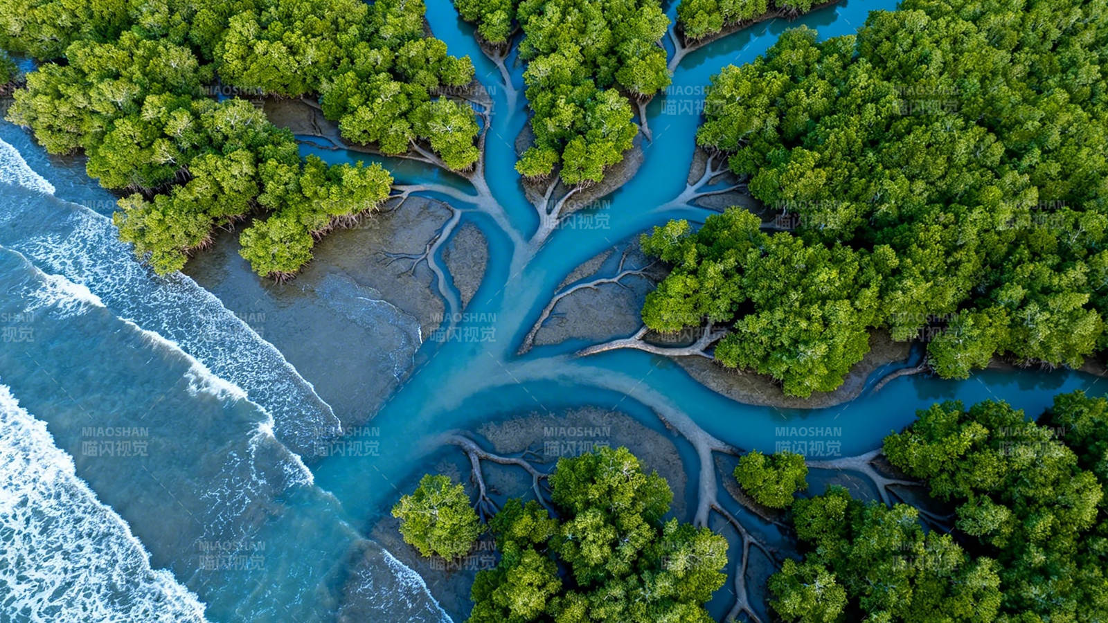 碧海绿林 自然交响曲图片