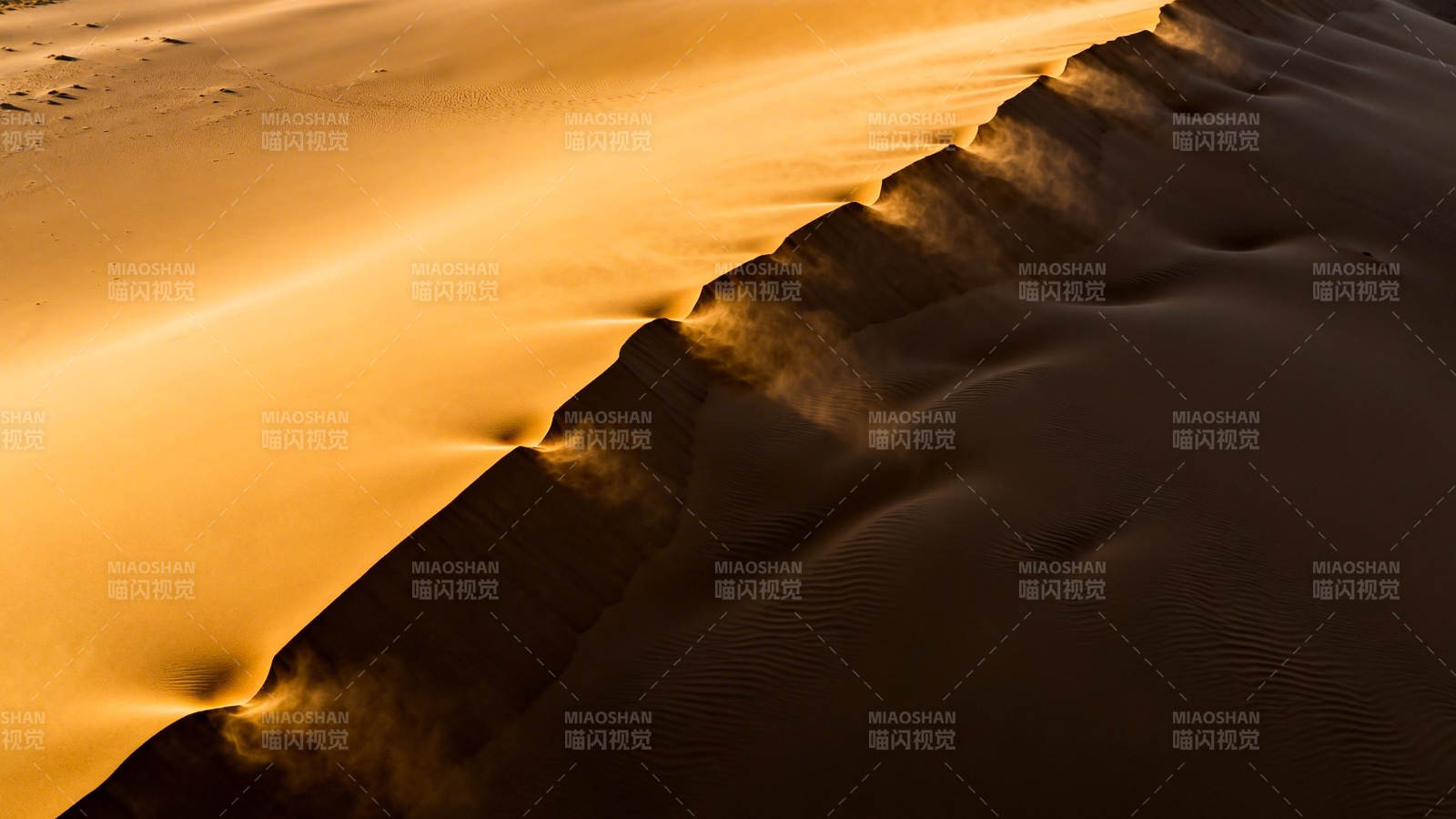 金色沙丘 风舞流沙图片