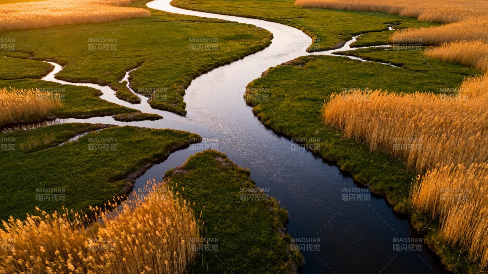 蜿蜒河流穿绿野金芦荡图片