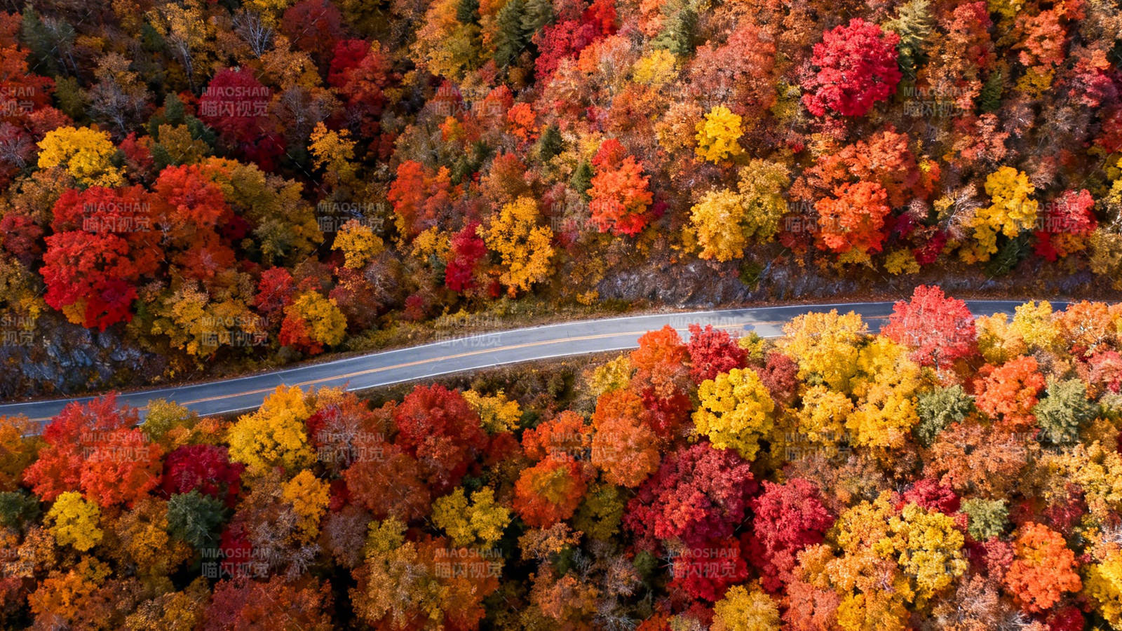 秋色斑斓 公路穿林间图片