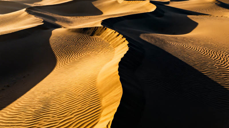 沙漠金浪 光影如诗图片