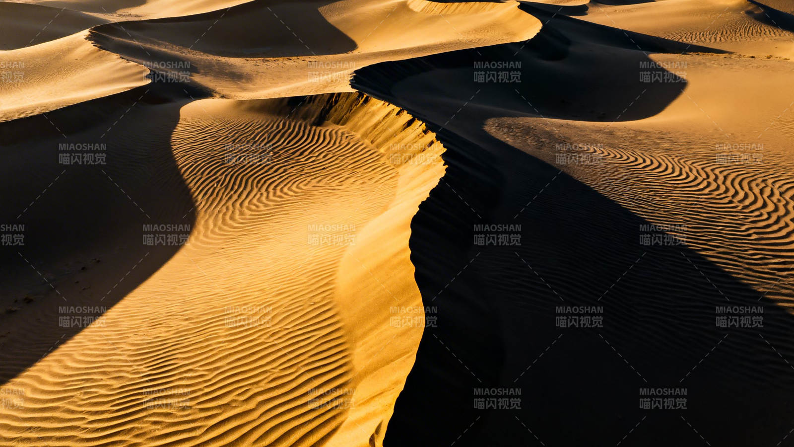 沙漠金浪 光影如诗图片