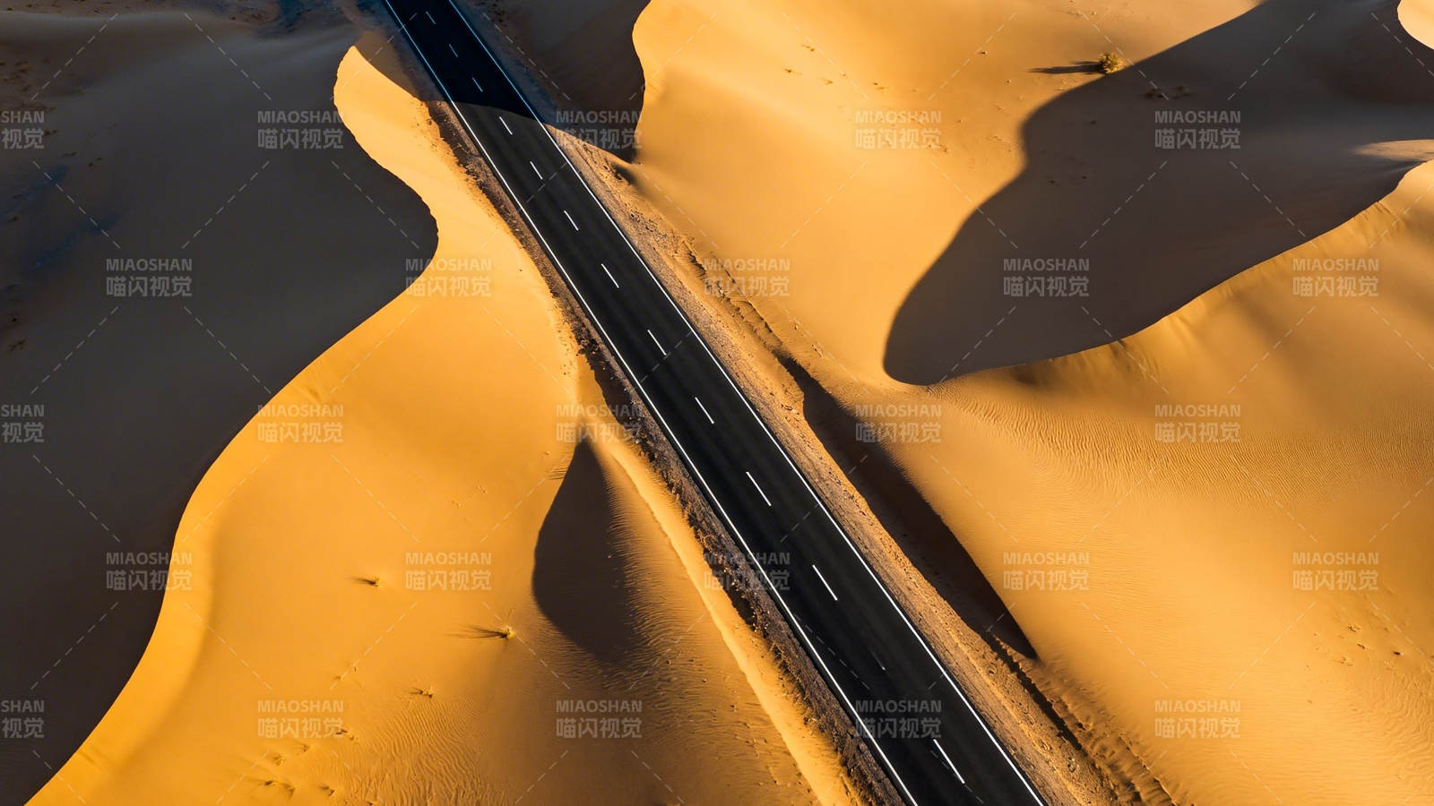 沙漠公路蜿蜒穿沙丘图片