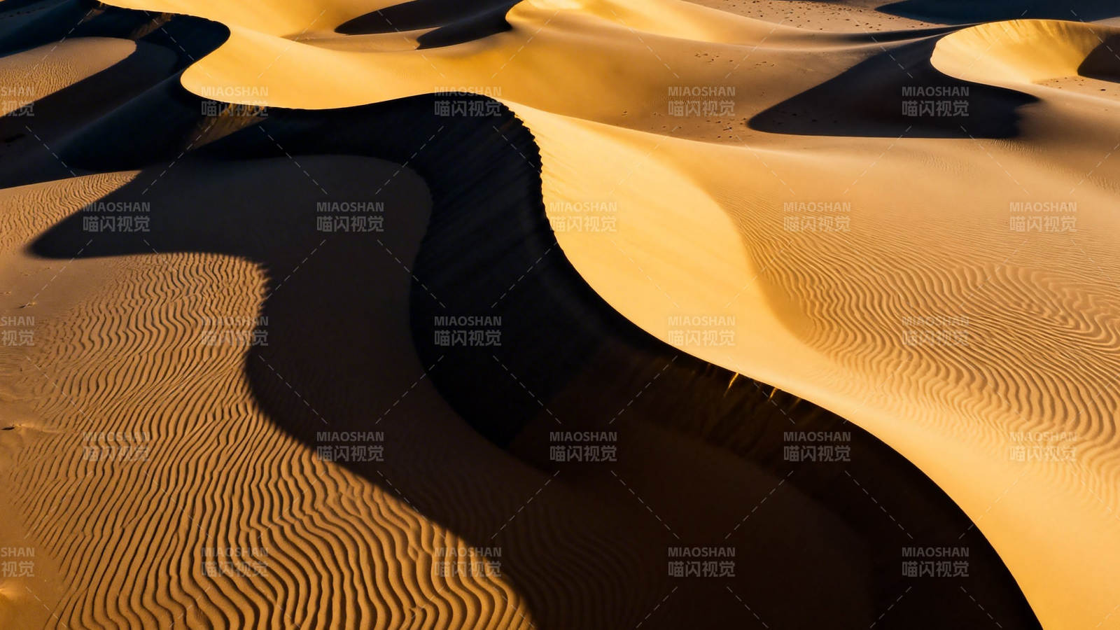 沙海光影 曲线如诗图片