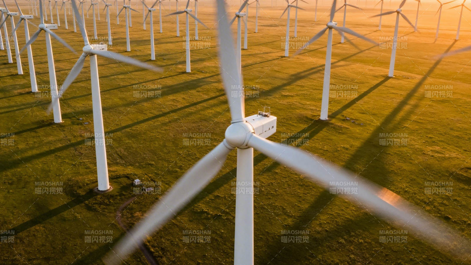 风车田 金色黄昏图片