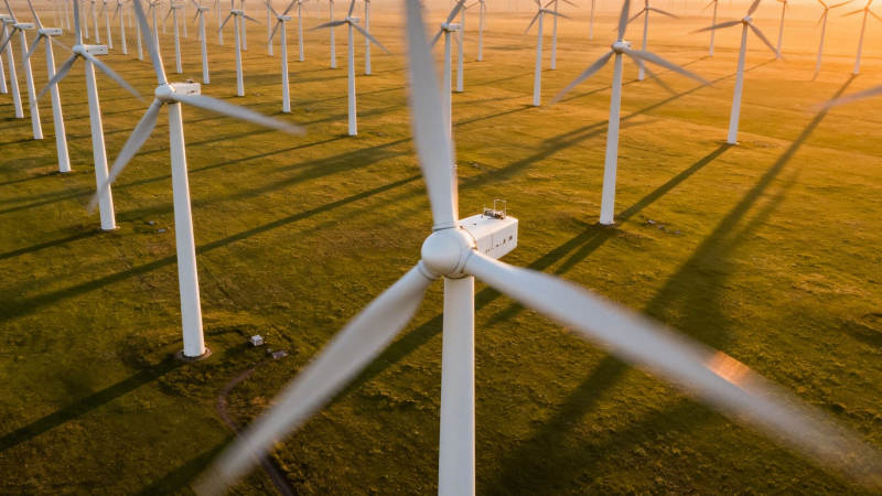 风车田 金色黄昏图片