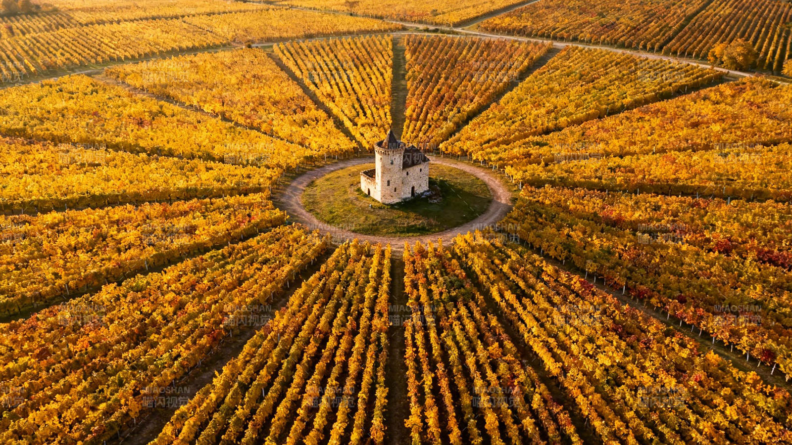 秋日葡萄园中的小教堂图片