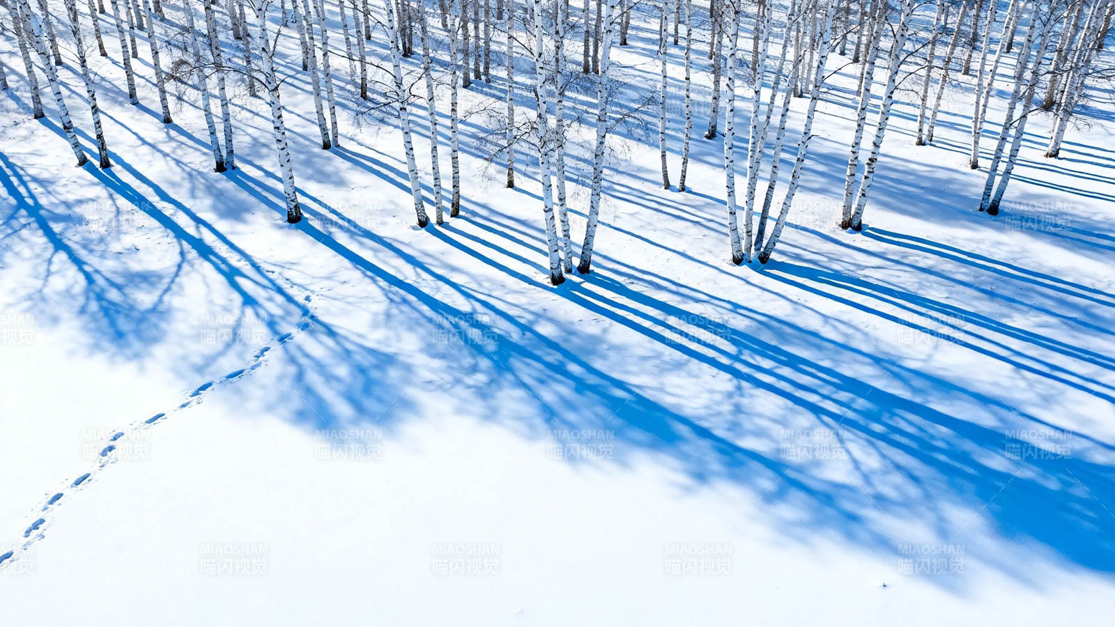 雪林树影长 足迹印苍茫图片