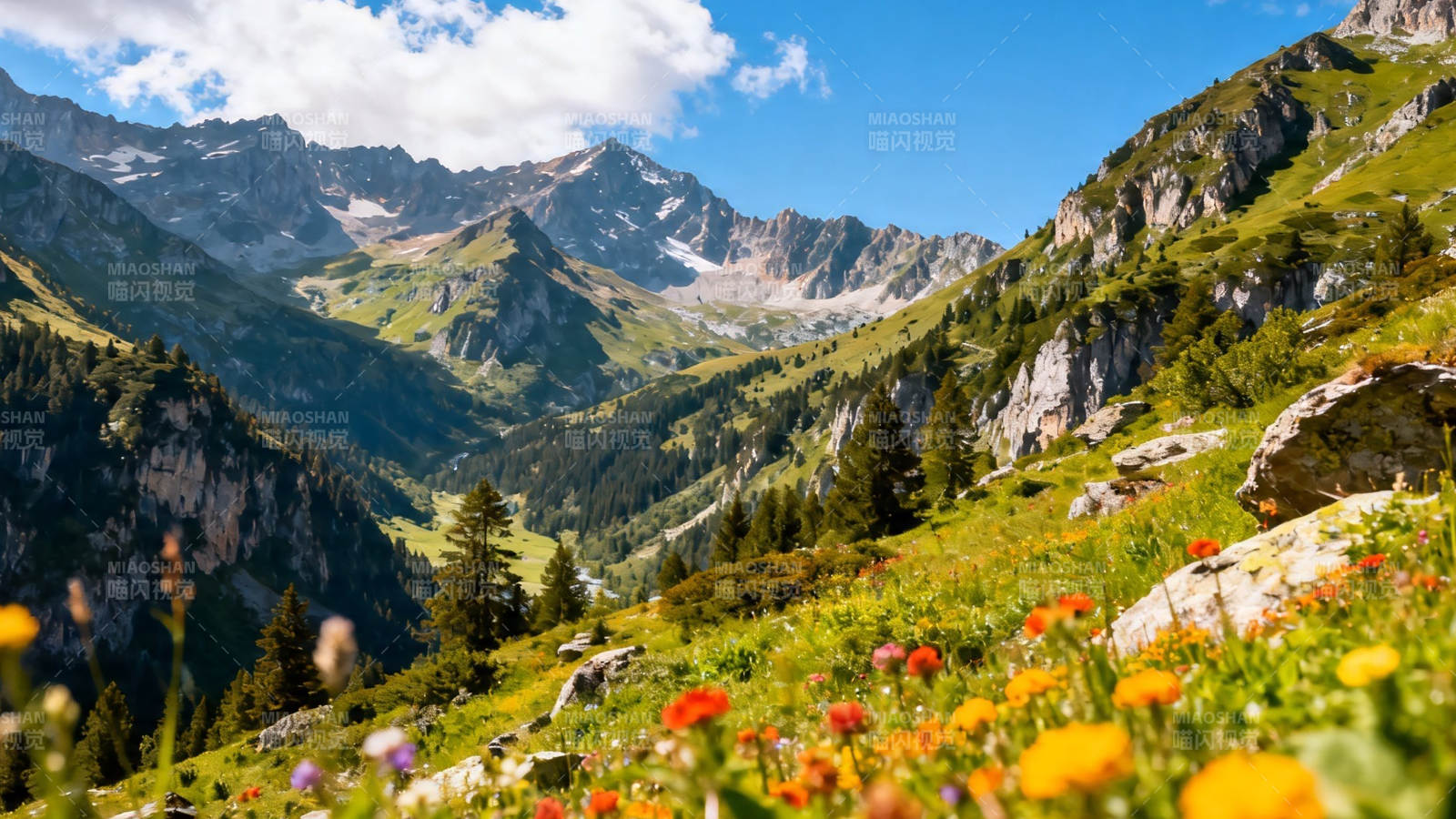高山花海 云绕峰峦间图片