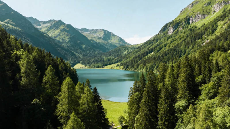 青山环抱碧湖 绿意盎然图片