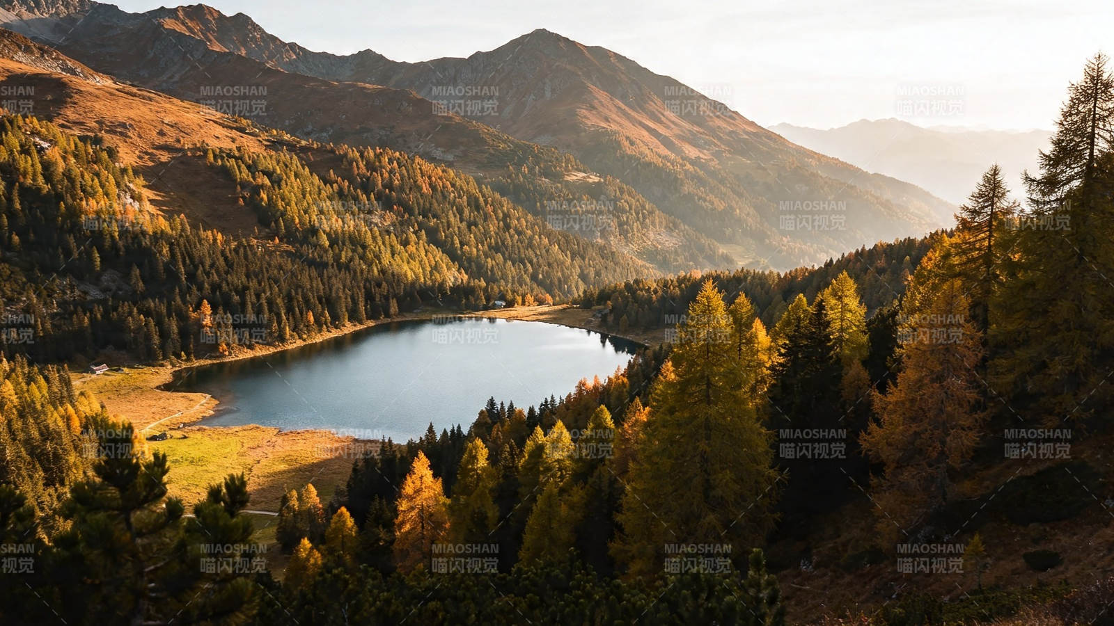 秋山静湖 金林映水图片
