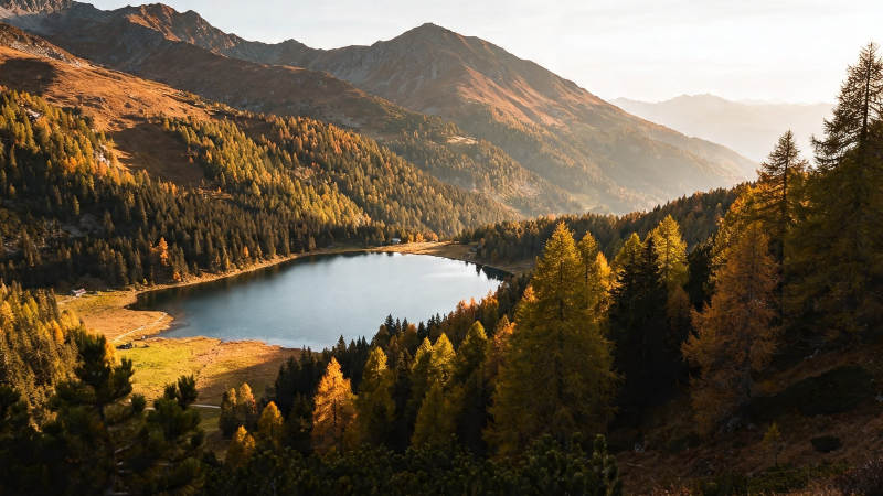 秋山静湖 金林映水图片