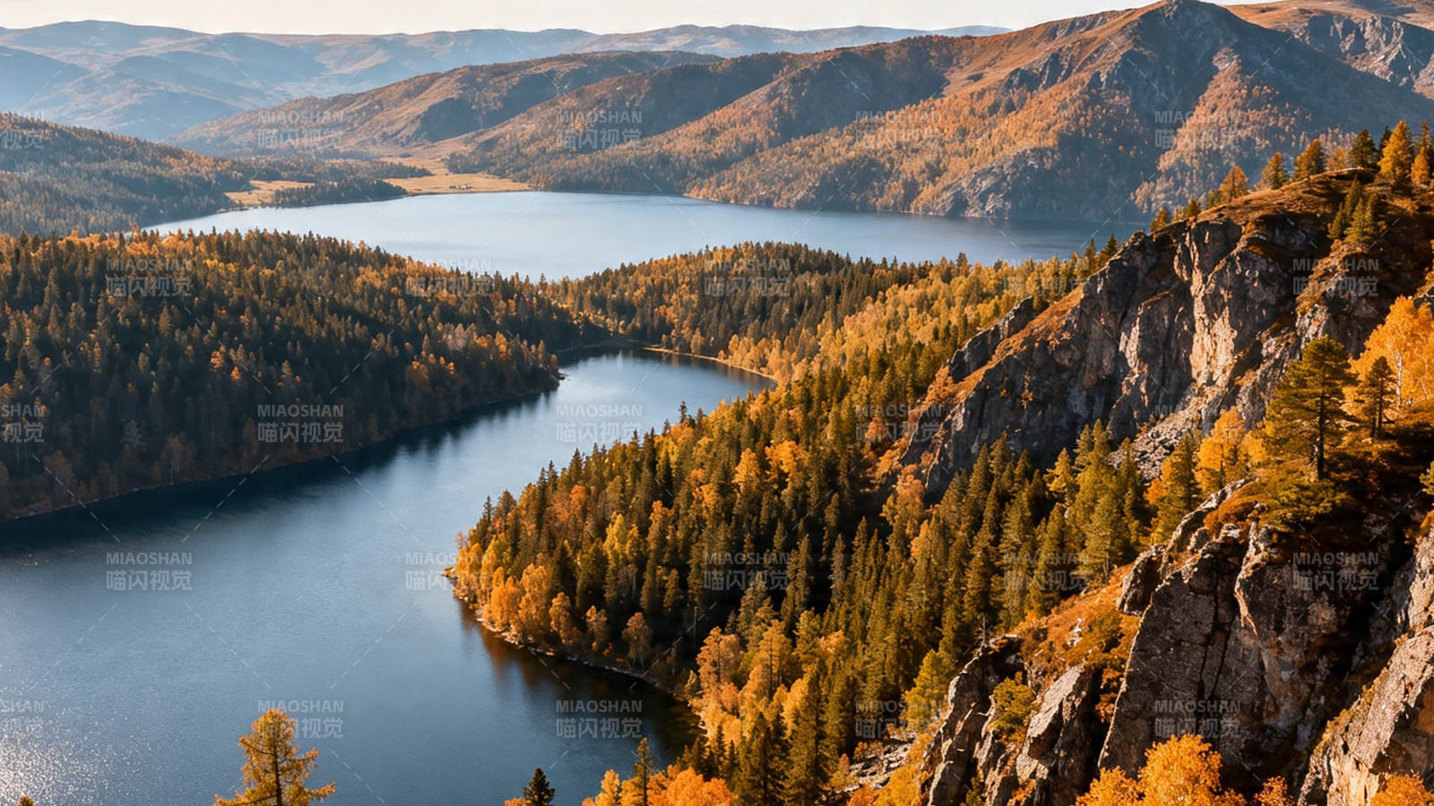 秋湖环山 金林映水图片