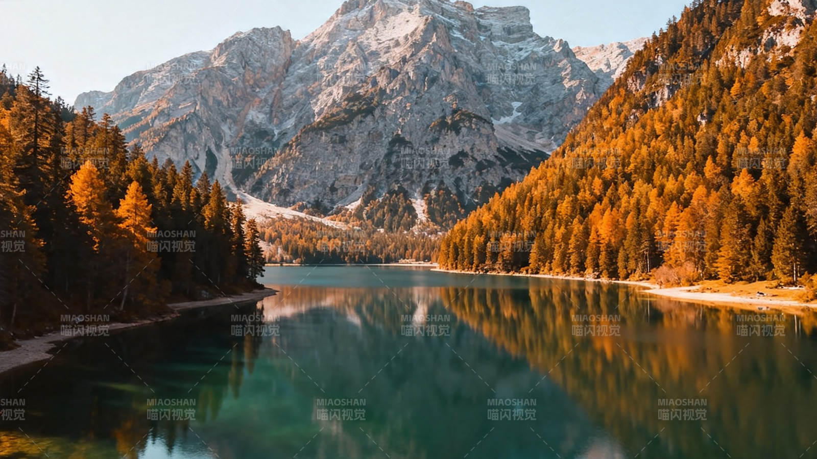 秋湖映山 金林倒影如画图片