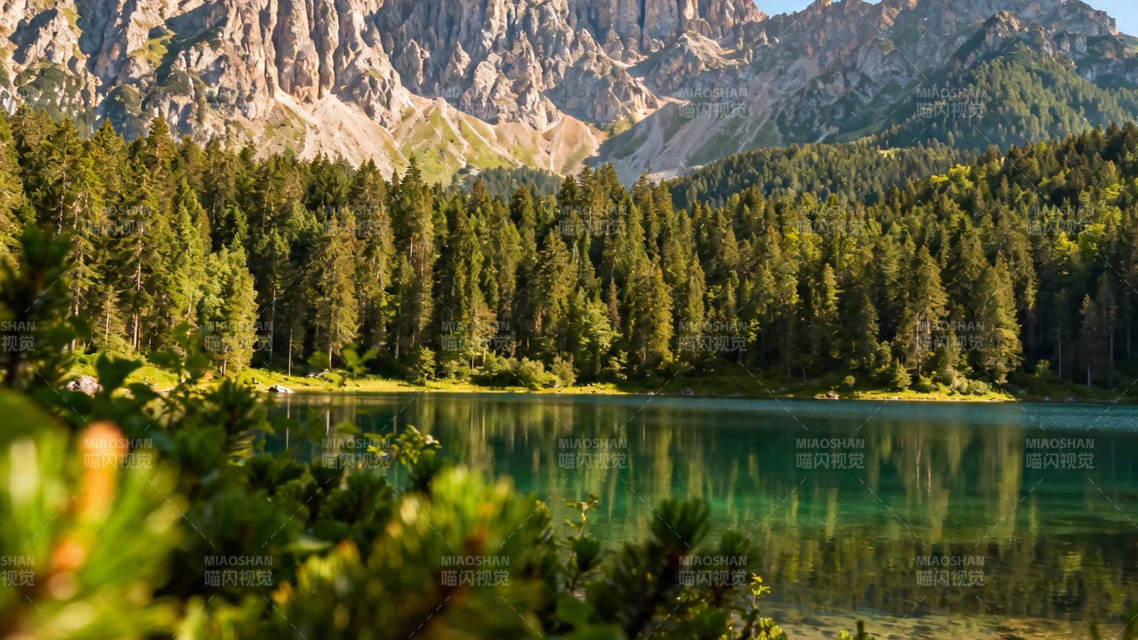 山湖映翠 松影入画图片
