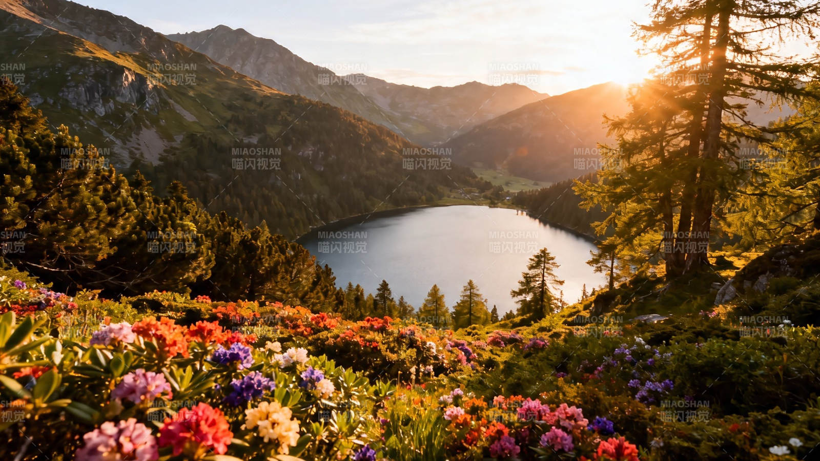 山湖花海 夕照如画图片