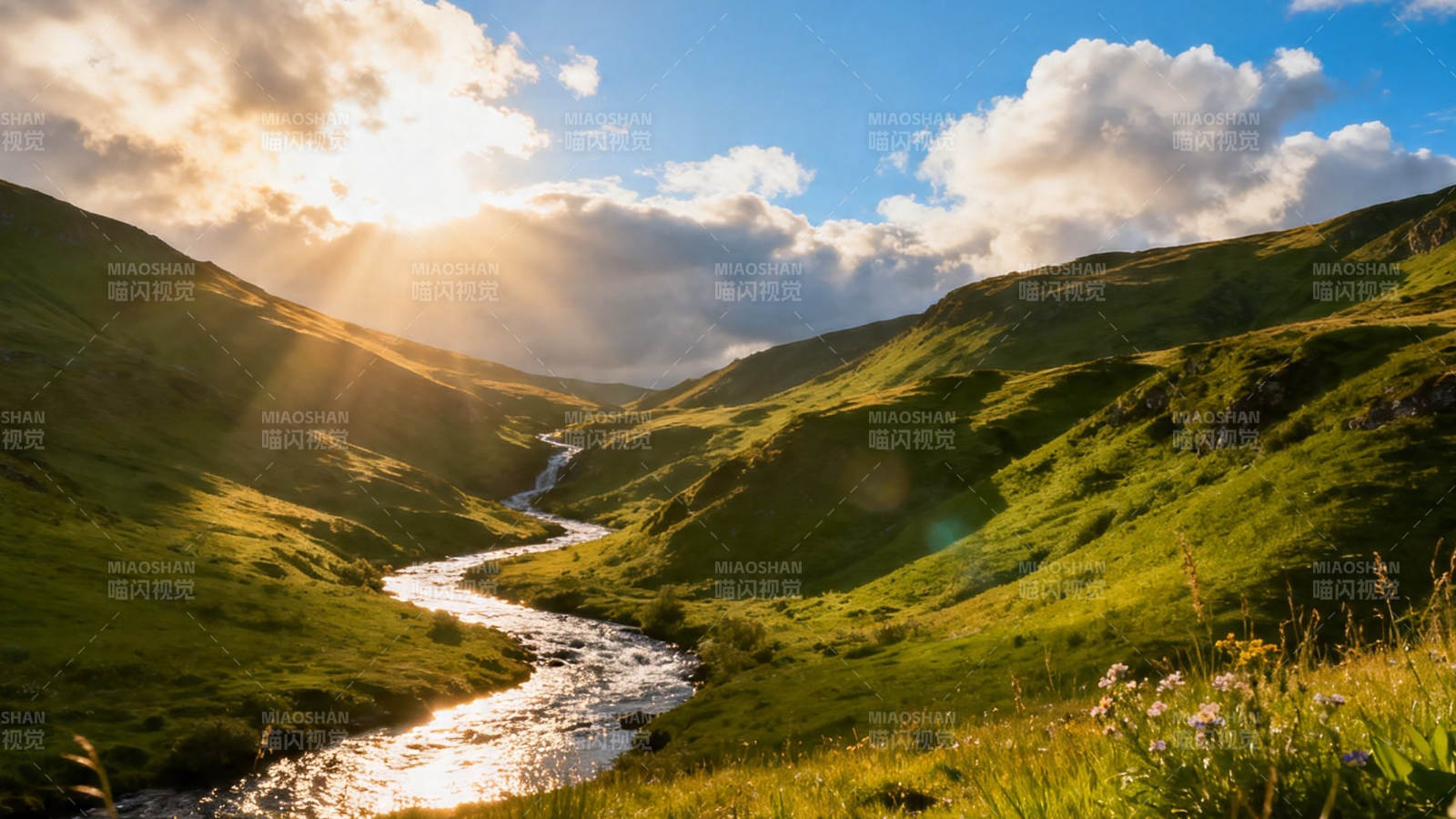 阳光洒落绿谷溪流间图片