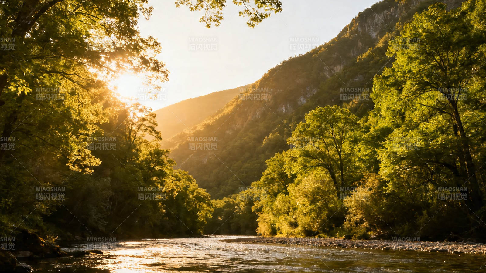 山间溪流 夕阳穿林照水图片