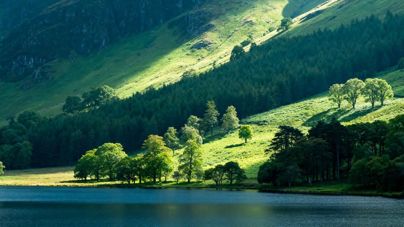 湖光山色 绿意盎然图片