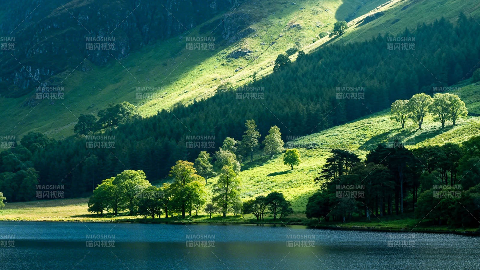 湖光山色 绿意盎然图片